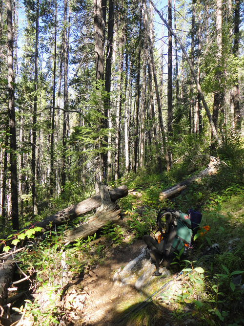 Trail at KM3 to Limestone Lakes, BC