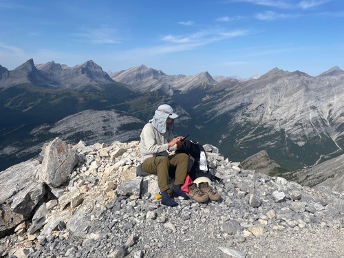 On-line shopping on a summit (this is a true story!)