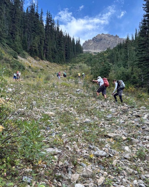 The long tedious climb back to Peyto Viewpoint at the end of the trip - photo from Cathy J