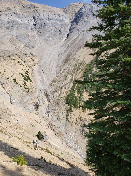 Climbing back up from the main drainage on our descent. Our route up the most southerly drainage to the ridge is shown in its entirety, including the enjoyable scramble section.