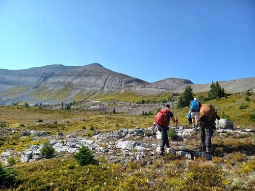 In the meadows.Burstall pass peak above us