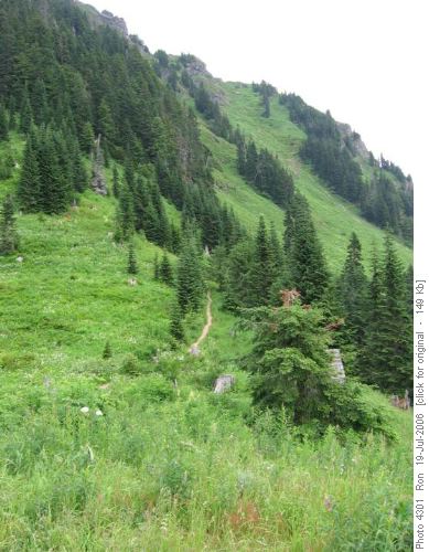 Cascades: Sauk Mountain trail