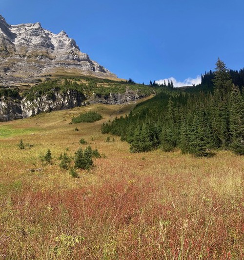 Meadow above Rawson Lake