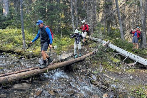 Crossing (totally unnecessarily) a log bridge, there was a stepover 10 m lower.