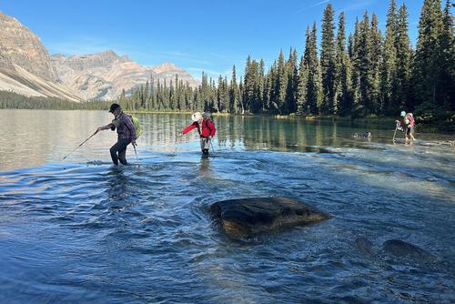 Crossing the very top of the Bow River