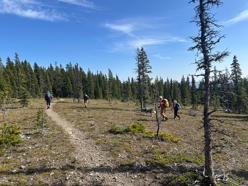 Nearing the top; left to right Bob, Brian, Sophie, David, Leslie. 