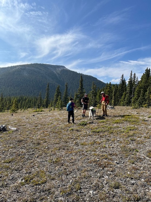 Prairie Mountain from Ben's Hill; left to right Leslie, Simon, Sophie, David.