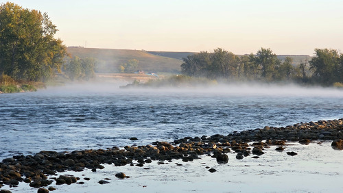 Morning mist at Policeman's Flats