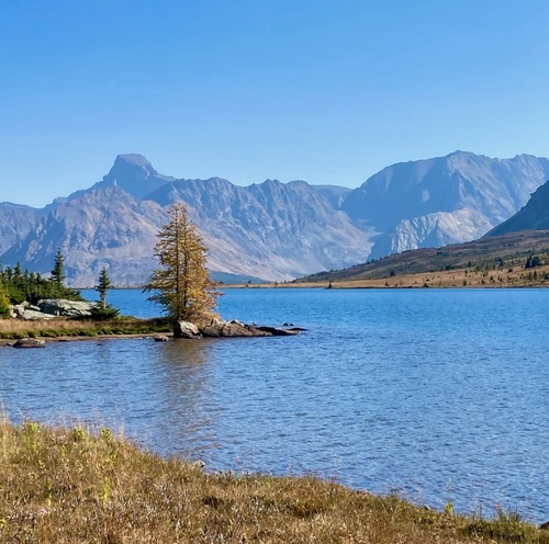 Along Ptarmigan Lake
