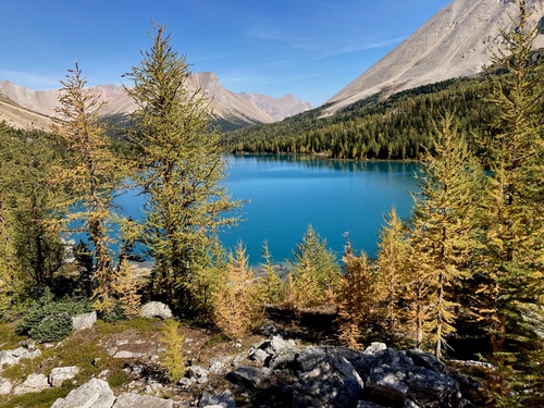 View of Myosotis Lake from near the shoreline of Zigadenus Lake
