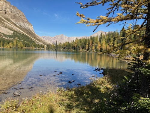 Reflections from the path along Myosotis Lake