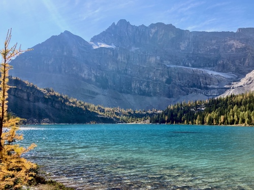 Looking back from the end of Myosotis Lake 