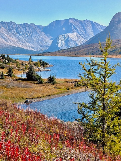 Colours along the shore of Ptarmigan Lake - (photo by Cynthia)