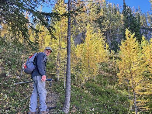 Approaching the top of the ridge and the best larches