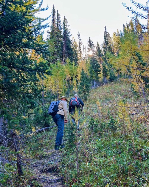 The now beaten trail above Tryst Lake