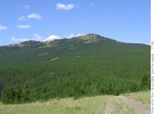 Surveyor's Ridge from east
