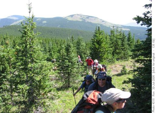 Surveyors Ridge bushwack