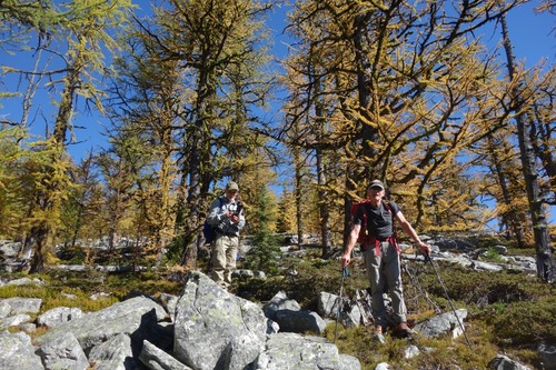 Jim and Bill at start of older larch forest