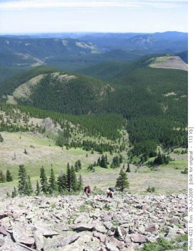 Off trail on east side of Mount Ware