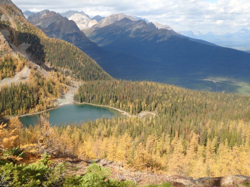 Arnica Lake