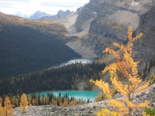 View to Twin Lakes & away to Assiniboine (top, far left)