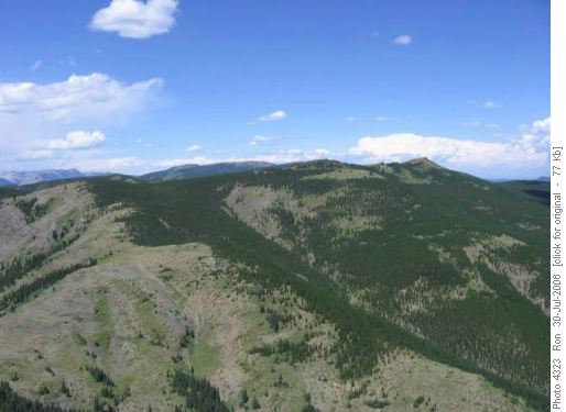 Surveyors Ridge from south