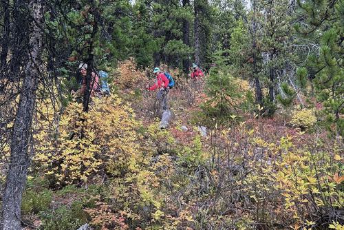 Light bushwhacking back down to the Running Rain Lake trail