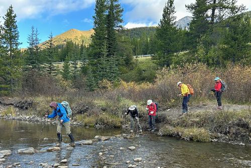 Crossing Storm Creek 