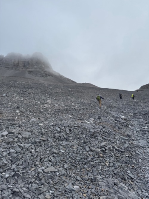 Sparrowhawk Summit block in fog