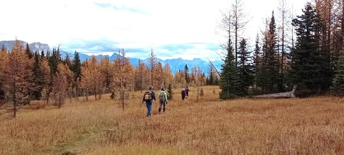 Group walks back through Panorama Meadows towards Taylor Lake