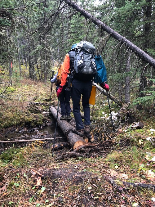 One of two bridged creek crossings; the rest requiring leaping or wet rock stepping! 