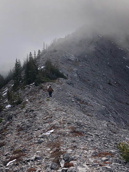 Boundary ridge heading south up towards Boundary Peak