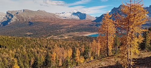 Mt. Cautley and Ely's Dome from the Nublet, BC