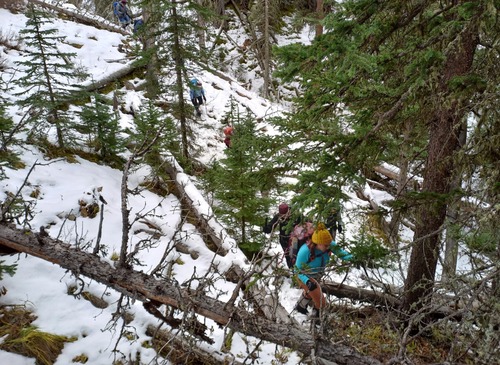 Completing the loop involved some bushwhacking in snow covered steep terrain 