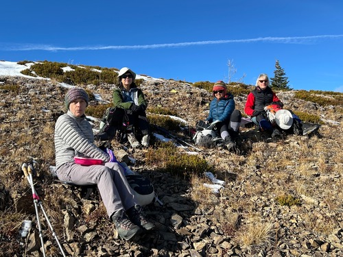 The perfect lunch spot.