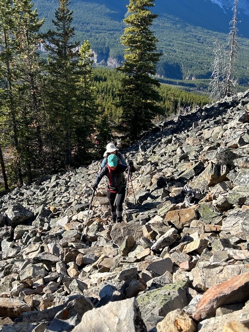 Steeper part of the rock garden.