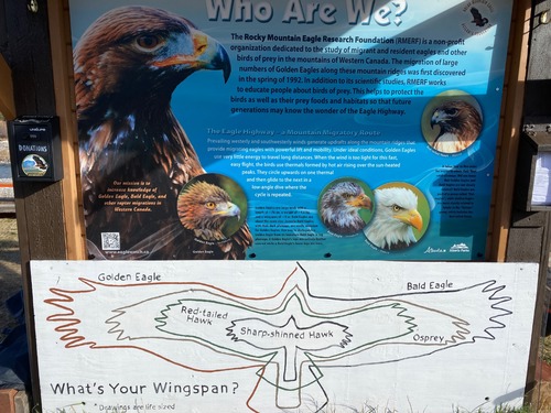 One of the displays at the migration counting site 