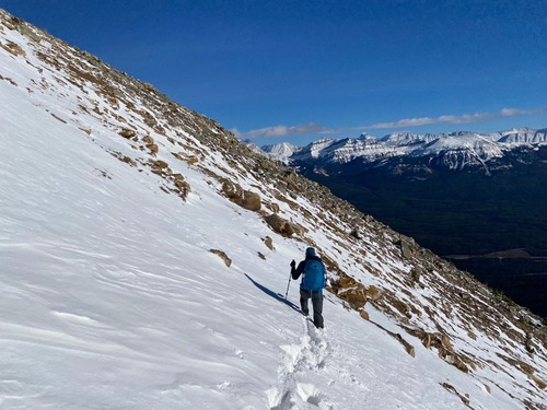 On a quest to find friendlier terrain 