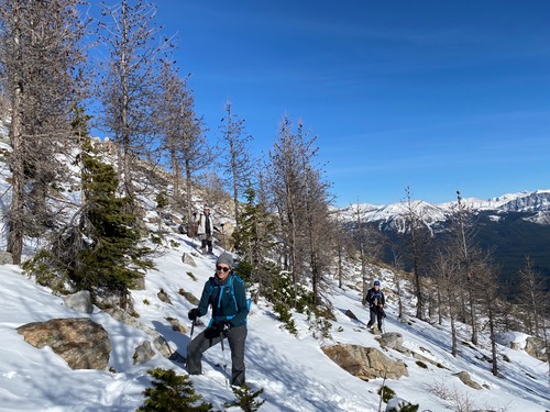 Almost back on official trail (YAY!)