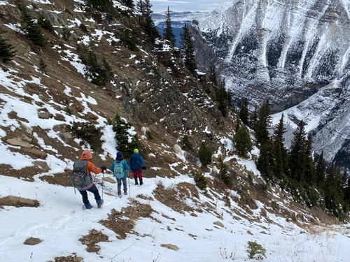 Approaching a herd of goats on the trail