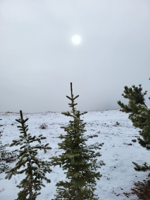 The sun gave its best effort