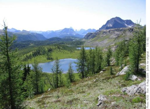 Southeast from Healy Pass