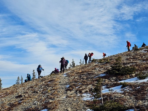Certainly a wind effect day, being blown sideways. 