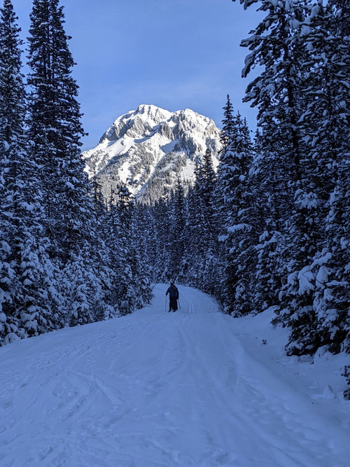 Looking down Pocaterra, between Back Door and Whiskey Jack [Photo Ulrike]