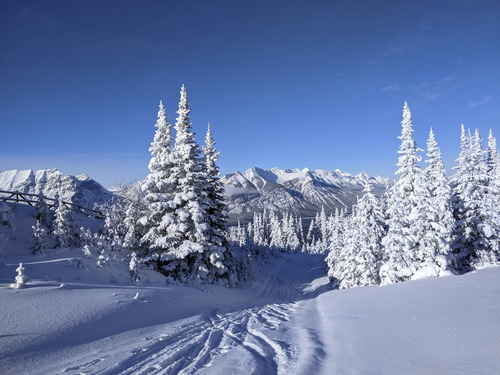 Kananaskis Fire Lookout, looking down the N hill [Photo Ulrike]