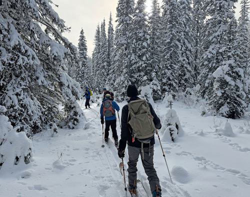 Mike leading the way through Blueberry meadows