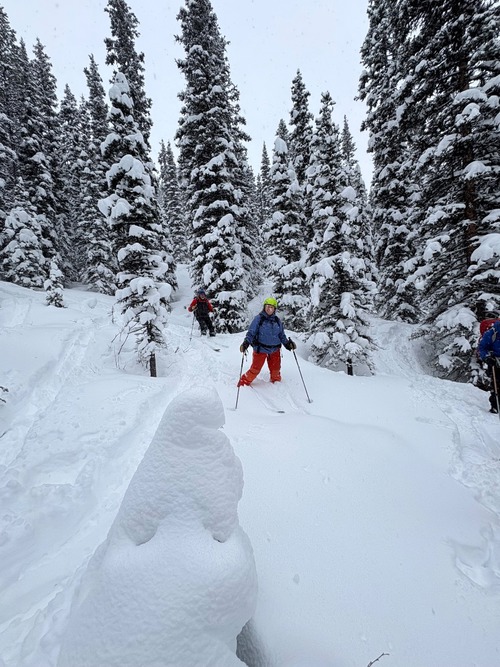 Kim and Ed navigate the trees