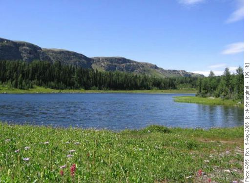 Simpson Pass tarn