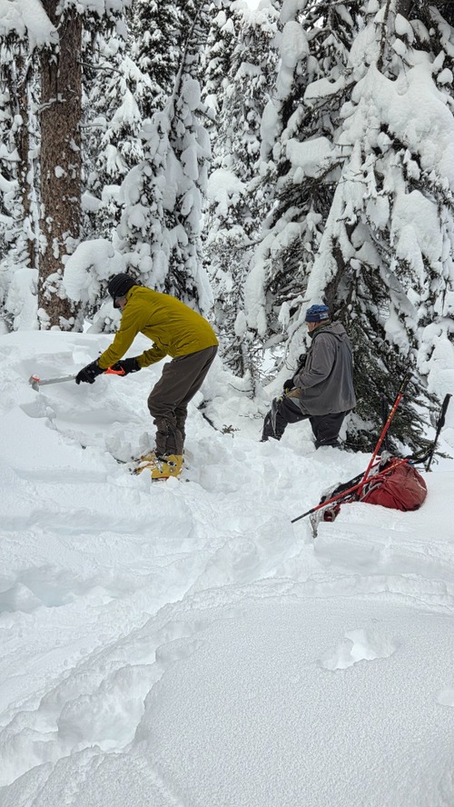 Grading and Burying an awkward tree across the trail