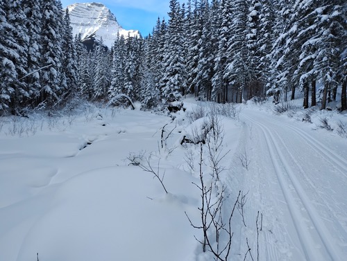 Amazing snow at Ribbon Creek